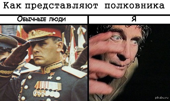 Как стать полковником. Я полковник. Зеленый Слоник полковник. Я полковник я полковник. Я полковник я командую парадом.