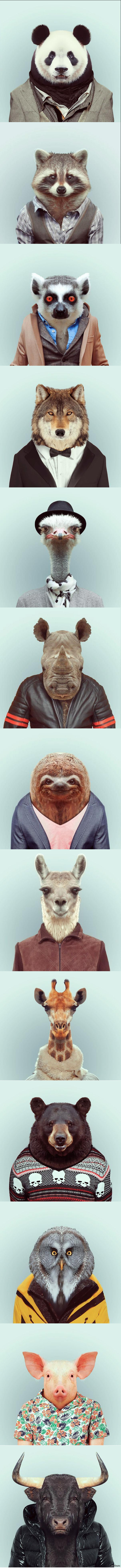 животные, одетые в человеческую одежду. от Яго Партала