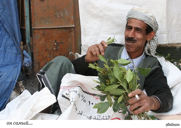 "Нас каты на колени ставили...."