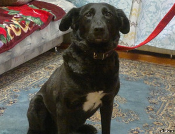 ������ ��� ��� ������))