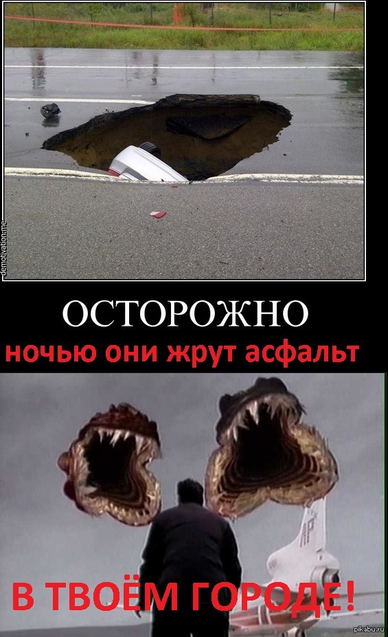 Остророжно! По ночам дети лангорьеров жрут асфальт в твоём городе!