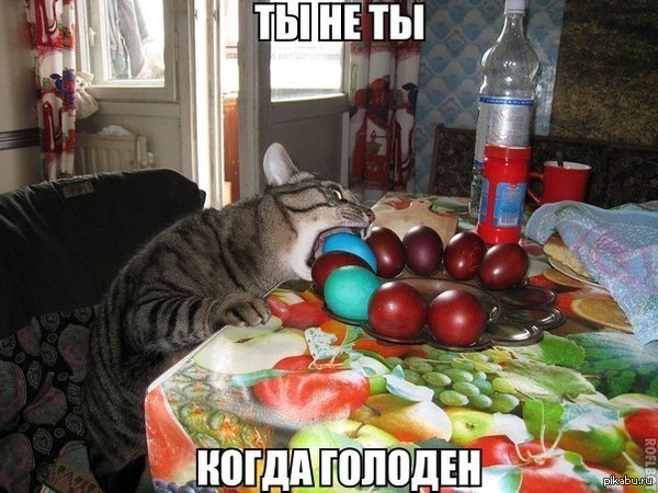 �� �� ��, ����� �������.