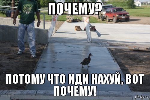    ))  .