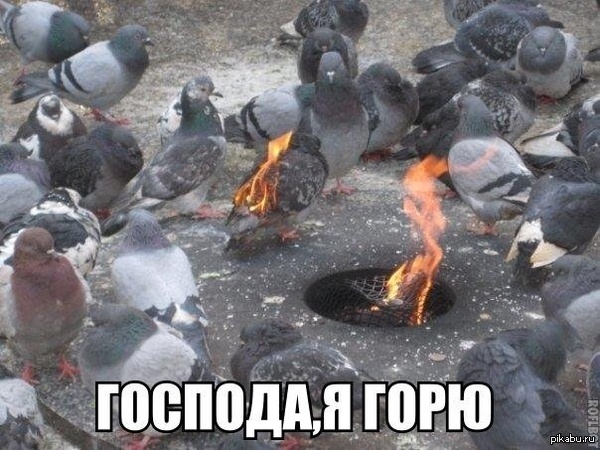 ������ �����