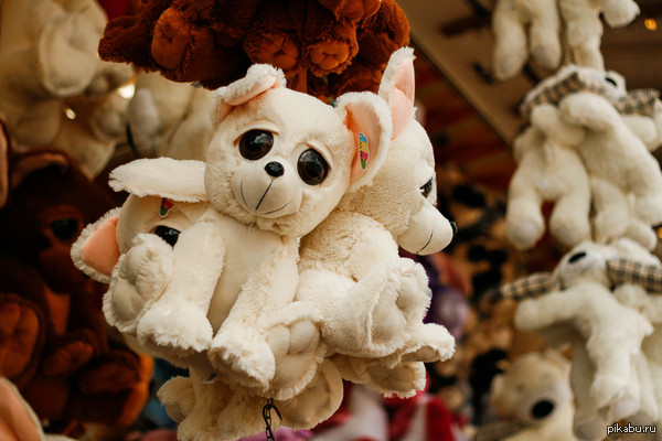 The cutest dogs at the fair in Cologne ^^ - My, The photo, Doggies, Toys