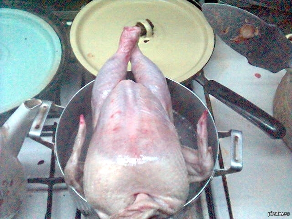 ������ ������