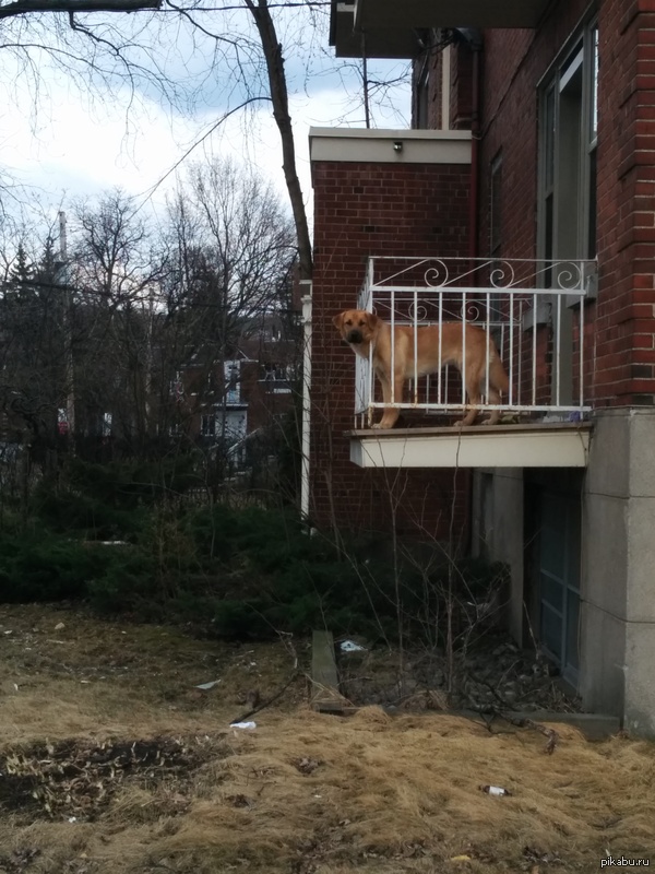 ������� � ���������