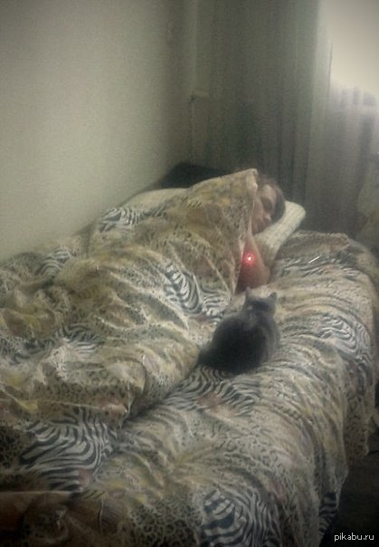 ������ ����!