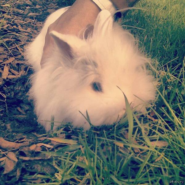 ������� � ����� ����� ��� ������� ���������� ��� ����!