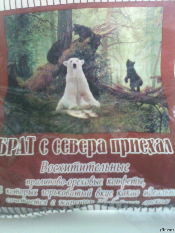 Брат с севера приехал!