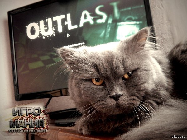  ,      outlast    !     ,   )))   http://vk.com/feed?section=notifications&amp;z=photo-30602036_328766941/5611acfc71cf7dd4e7