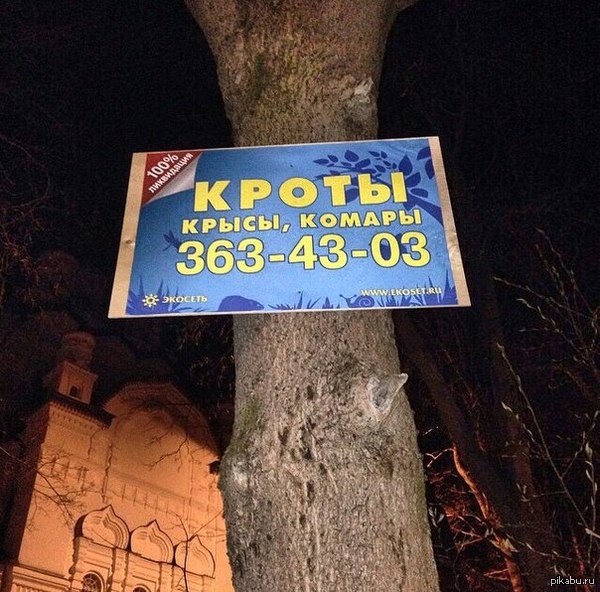 ���� �� ���� �����