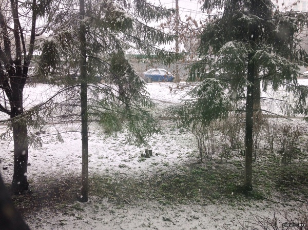 24 ������... ���... � ��� ������ �� ����, ���� �������� ���?(