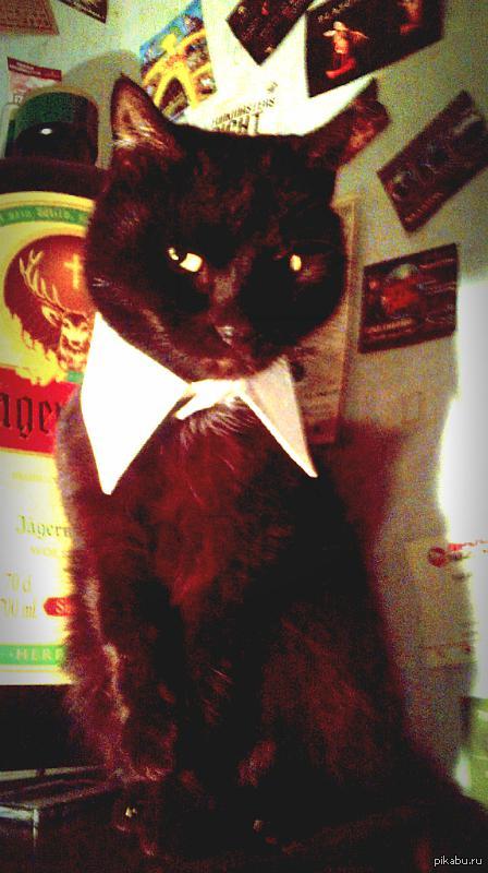 ���� � ��� ���� � ��� ���� �������� ���, ������ ��� ��������. ��� ������� ��� ������������ � �����.