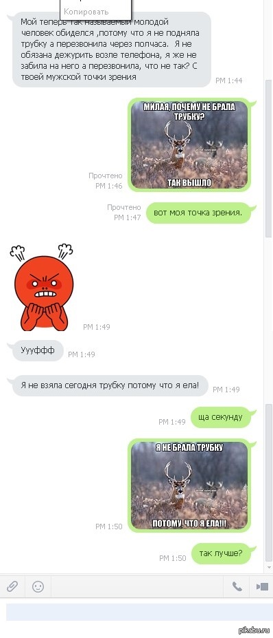 Олень или нет?