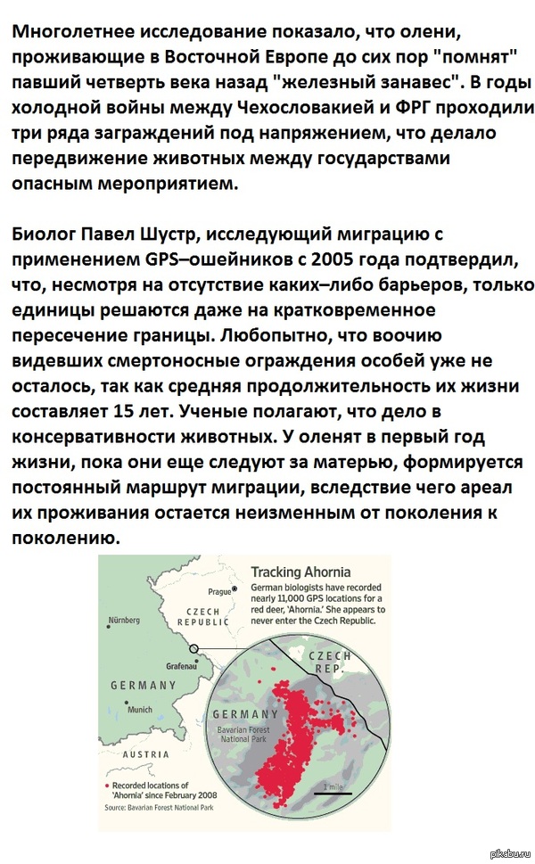 �������� ����� ������