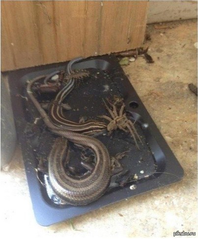 �������