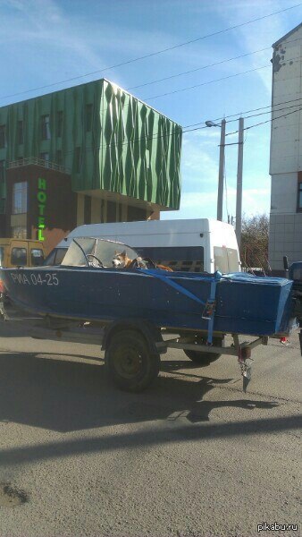 Просто собака в лодке