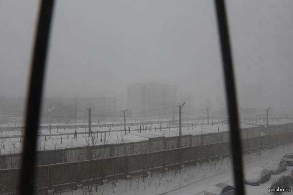 ���������.25 ������.�����