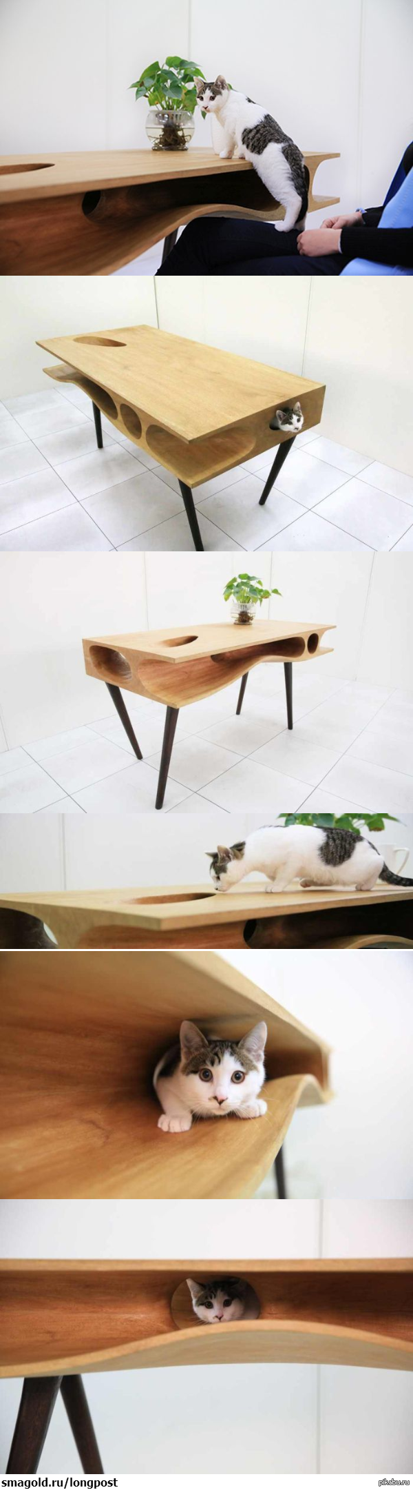 все уже видели диван с тунелями для кота