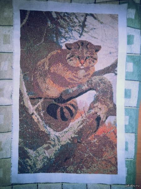 в поддержку пятничного тега "мое"