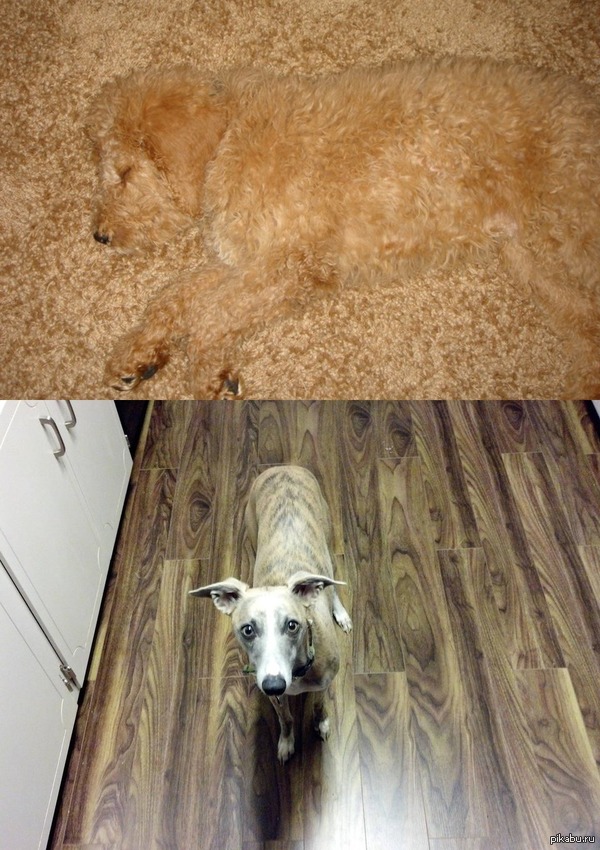 ������ ���� ������, �������, ��� ������ ������ ��������� � �����.) ����������� ..