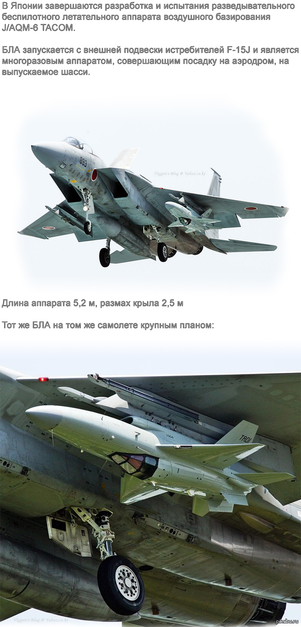 Японский БЛА