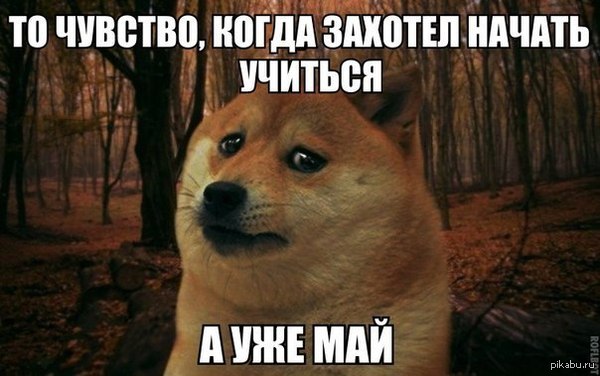 ��� ����� ������ �������?