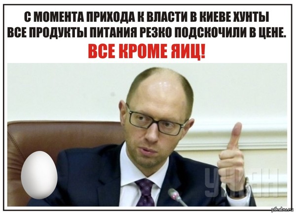 Яйценюх и яйца | Пикабу