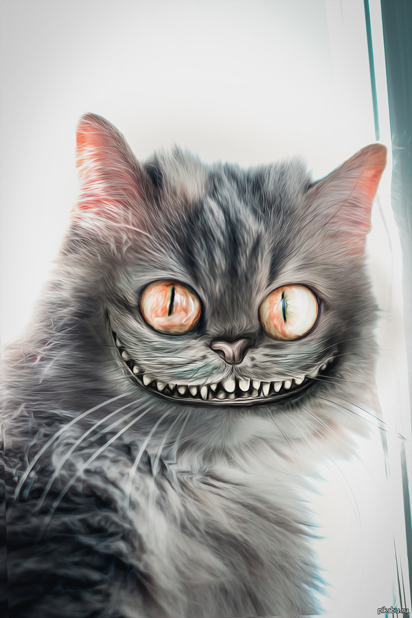 ��� ����� ���...