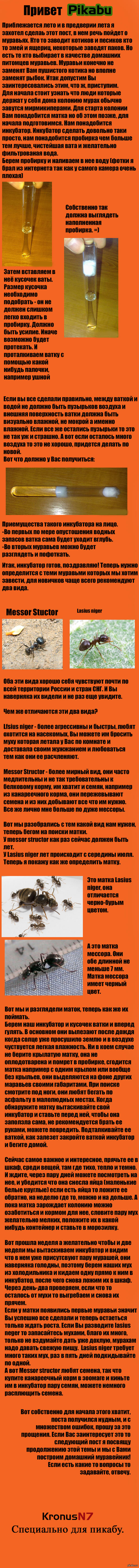   ,  . 