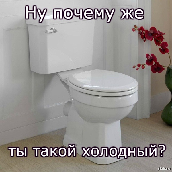 ����� ��������