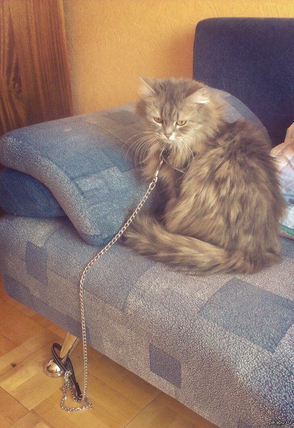 �������.