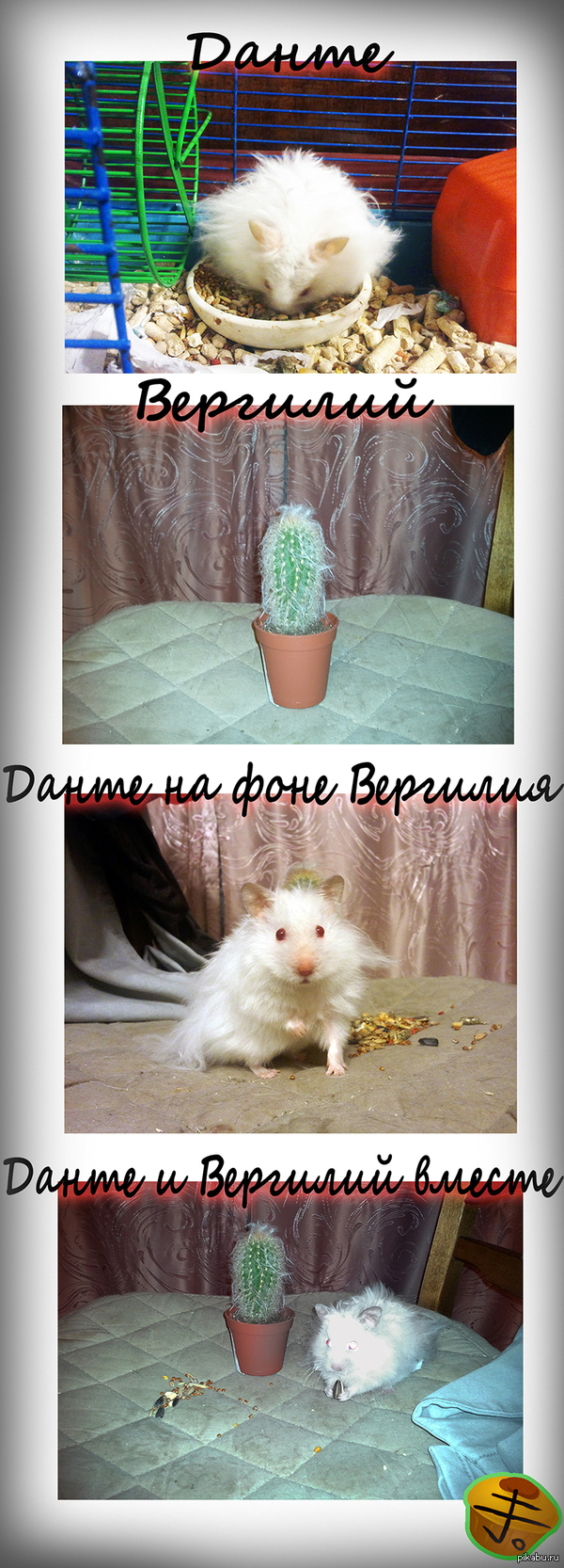           -  ^^