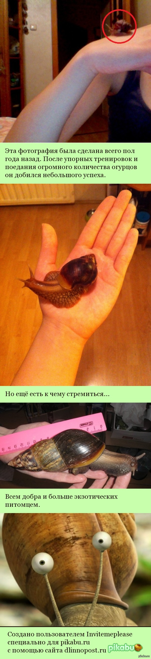 ������, ������� ������.