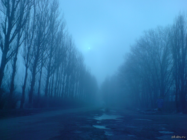 ���� �� ������