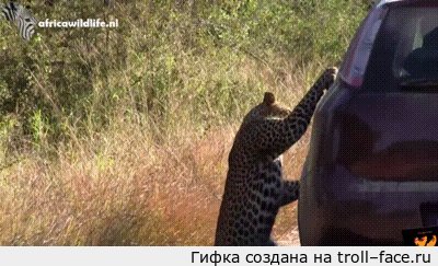  ! 