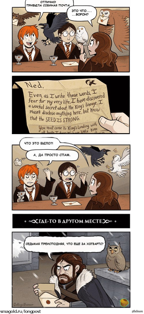 ��� ����� ������