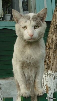 ��������...