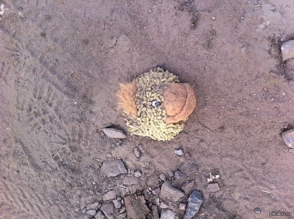 ����������� Flappy Bird � ������