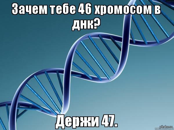 ����� + 1 ����������.