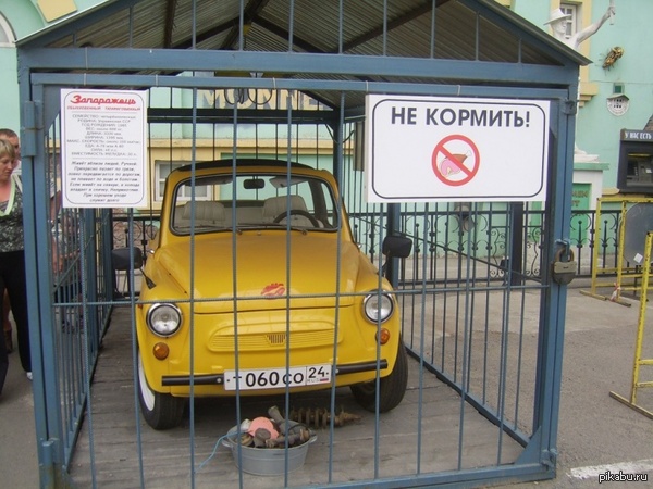 жизнь в неволе:) | Пикабу