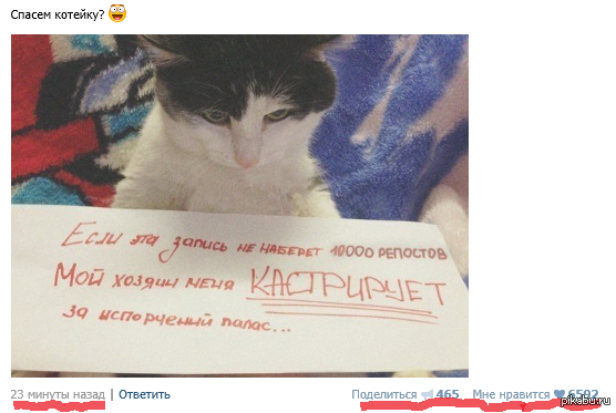 всё-таки есть у людей сердце)
