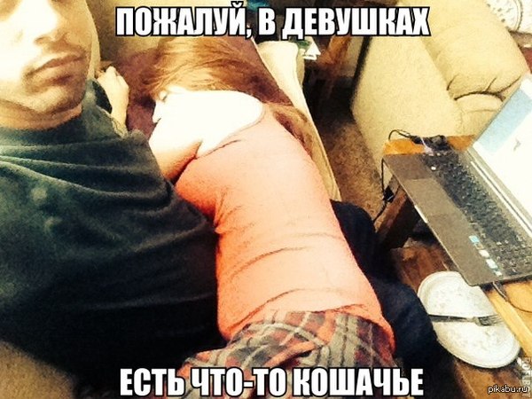 ������� ��� �����, ������ �������