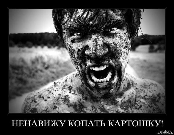 ��� ������ �������� - ����� ������ ������