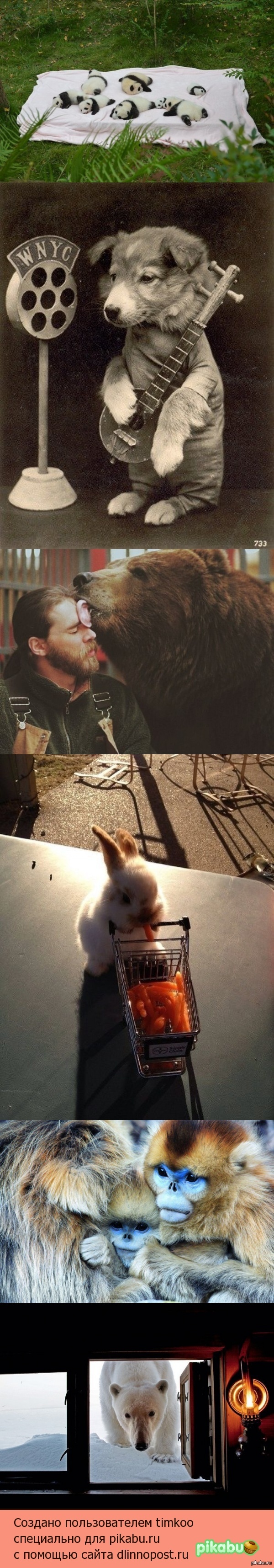 ������� �� ������ ^^