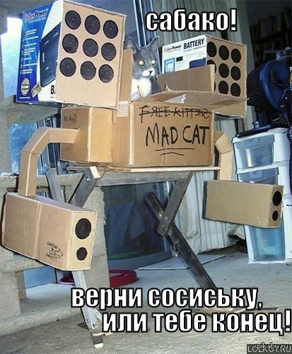 ���� ��� ����