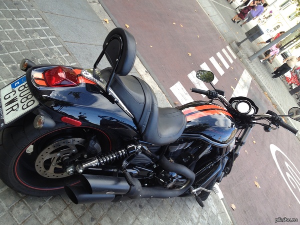 6.   Harley Davidson   ,     ....      
