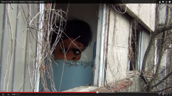 ������ ���� � �������