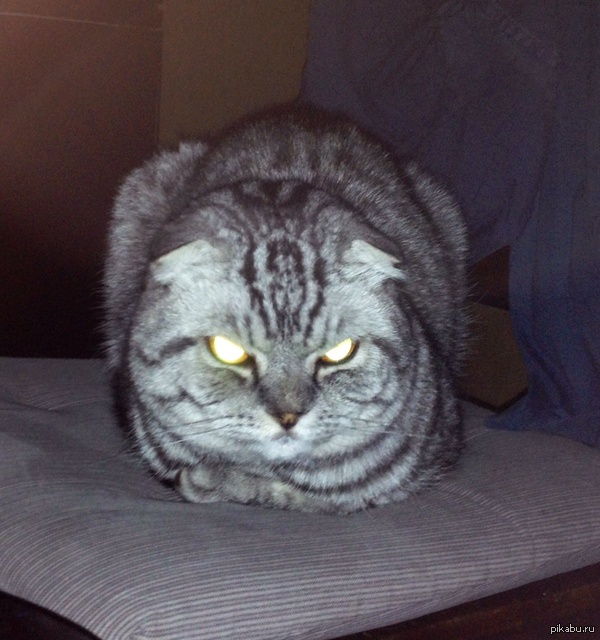 ������ ���. ���� ������ ����.